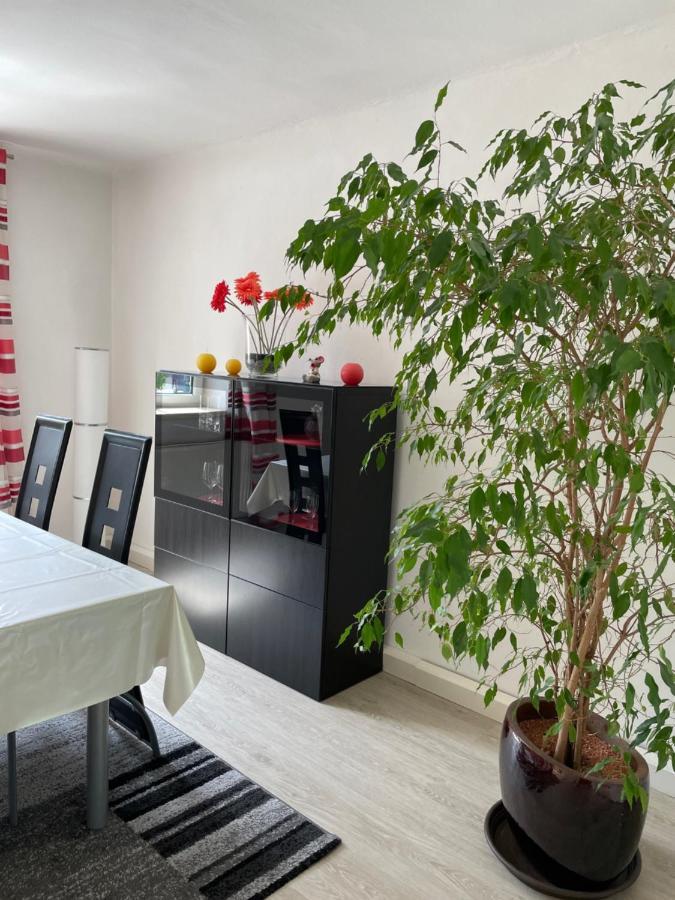 Abendrot Apartment Bad Ischl Ngoại thất bức ảnh